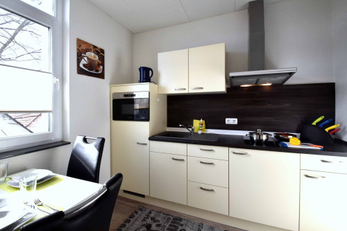 Very spacious apartment near airport - modernly furnished, fully equipped - Gallery - 9