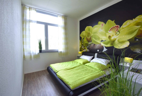 Very spacious apartment near airport - modernly furnished, fully equipped - Gallery - 7