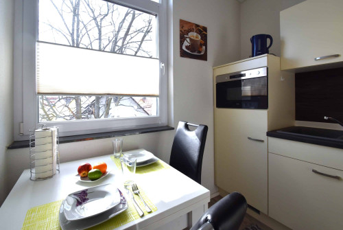 Very spacious apartment near airport - modernly furnished, fully equipped  - Gallery -  5