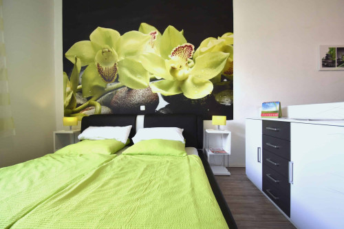 Very spacious apartment near airport - modernly furnished, fully equipped - Gallery - 8