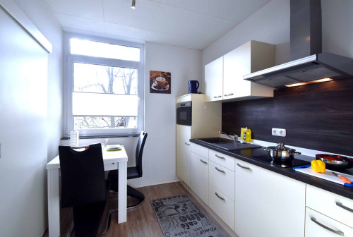 Very spacious apartment near airport - modernly furnished, fully equipped - Gallery - 10