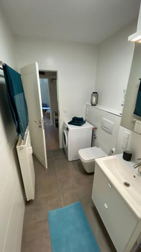 Newly renovated, bright and quiet flat in the north of Dresden