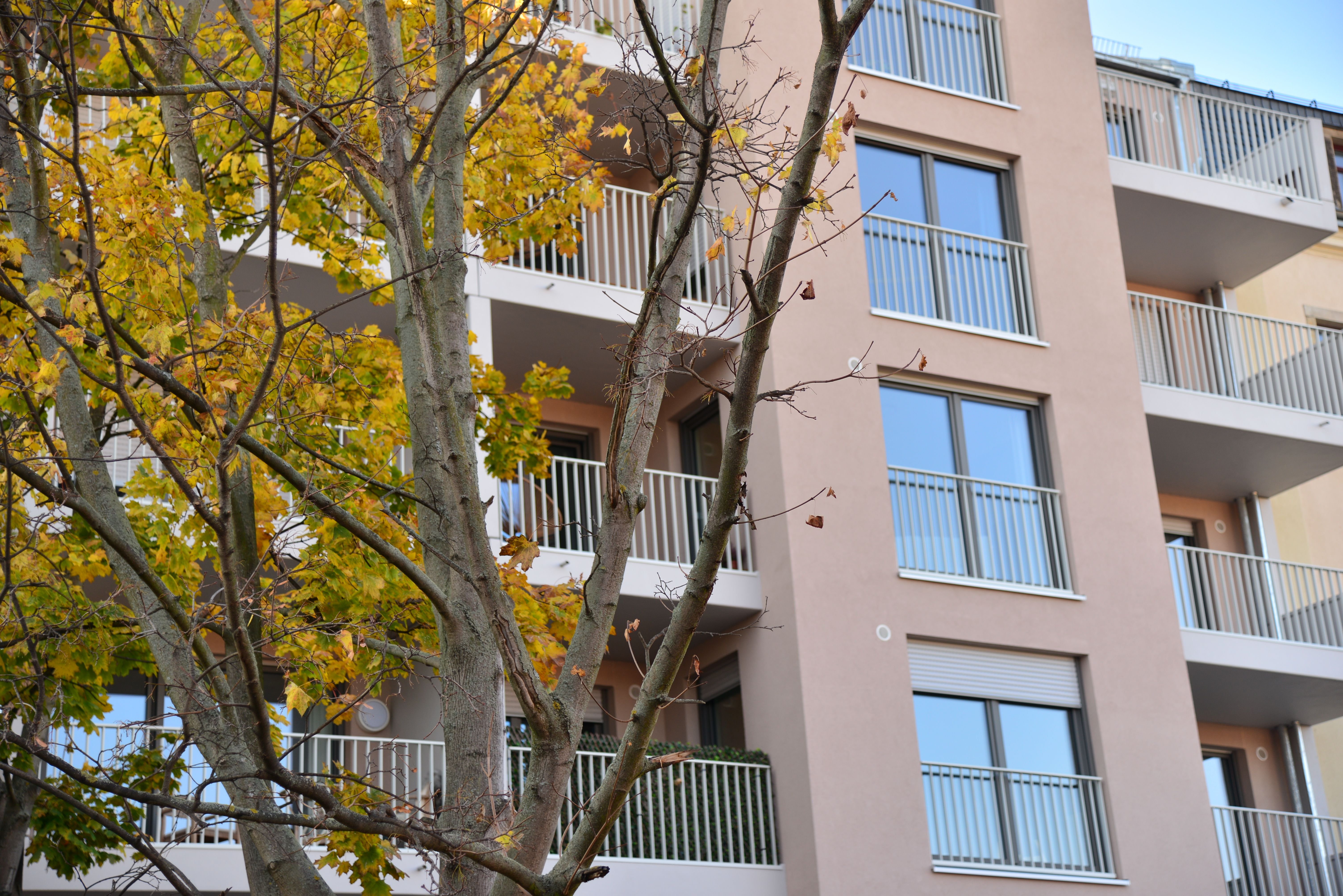 GORDON Apartment With Balcony, Underground Car Park, Cleaning  -  GORDON apartment with balcony, underground car park, Cleaning  - Gallery -  19