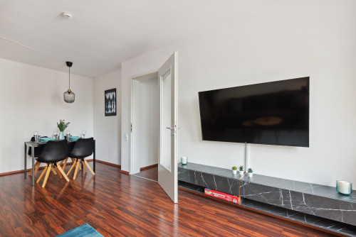 Charming Apartment in Wiesbaden - Gallery - 5