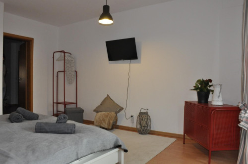Wonderful and fantastic home in Dresden - Gallery - 4