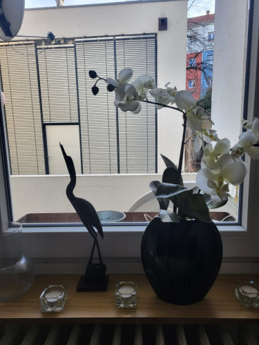 Awesome & beautiful studio close to city center