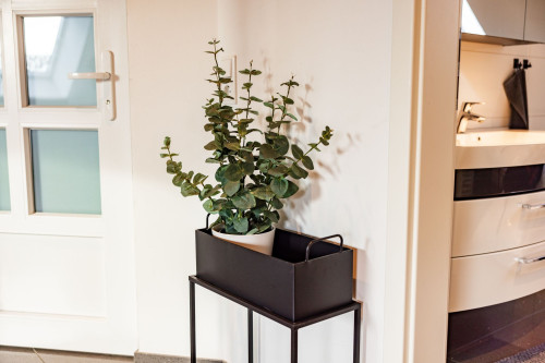 Luxury loft in Kiel city