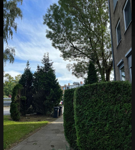 Newly furnished 3-room apartment – 70 sqm in Salzgitter City near the lake - Gallery - 16