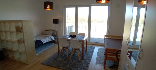 First occupancy, 2-room apartment with fitted kitchen and balcony. - Gallery - 16