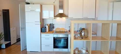 First occupancy, 2-room apartment with fitted kitchen and balcony. - Gallery - 6