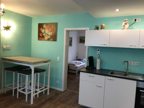 Stylish modern 2 BR. Apartment with U1 to the city center - Gallery - 13