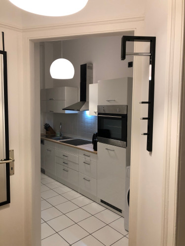 Newly renovated 1-bedroom apartment (Wiesbaden)