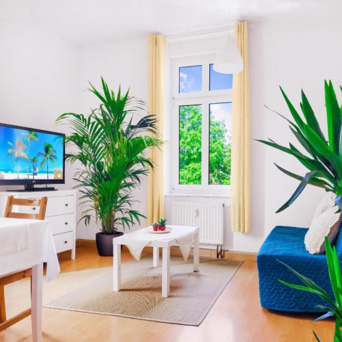 Bright, quiet 2 room apt, 2 bathrooms, DD Neustadt - Gallery - 17