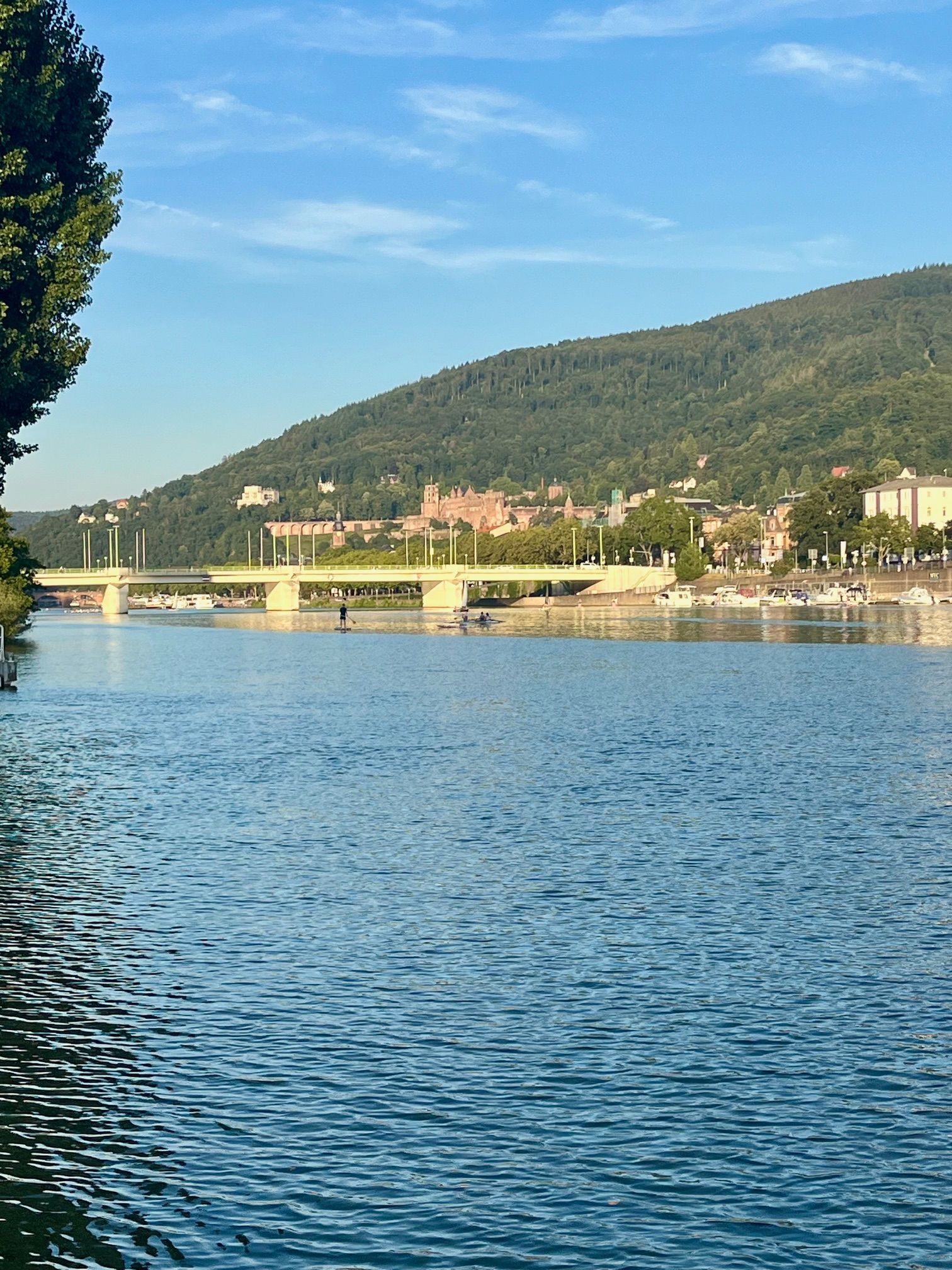  New Studio In Popular Area (Heidelberg)  -  New studio in popular area (Heidelberg)  - Gallery -  3