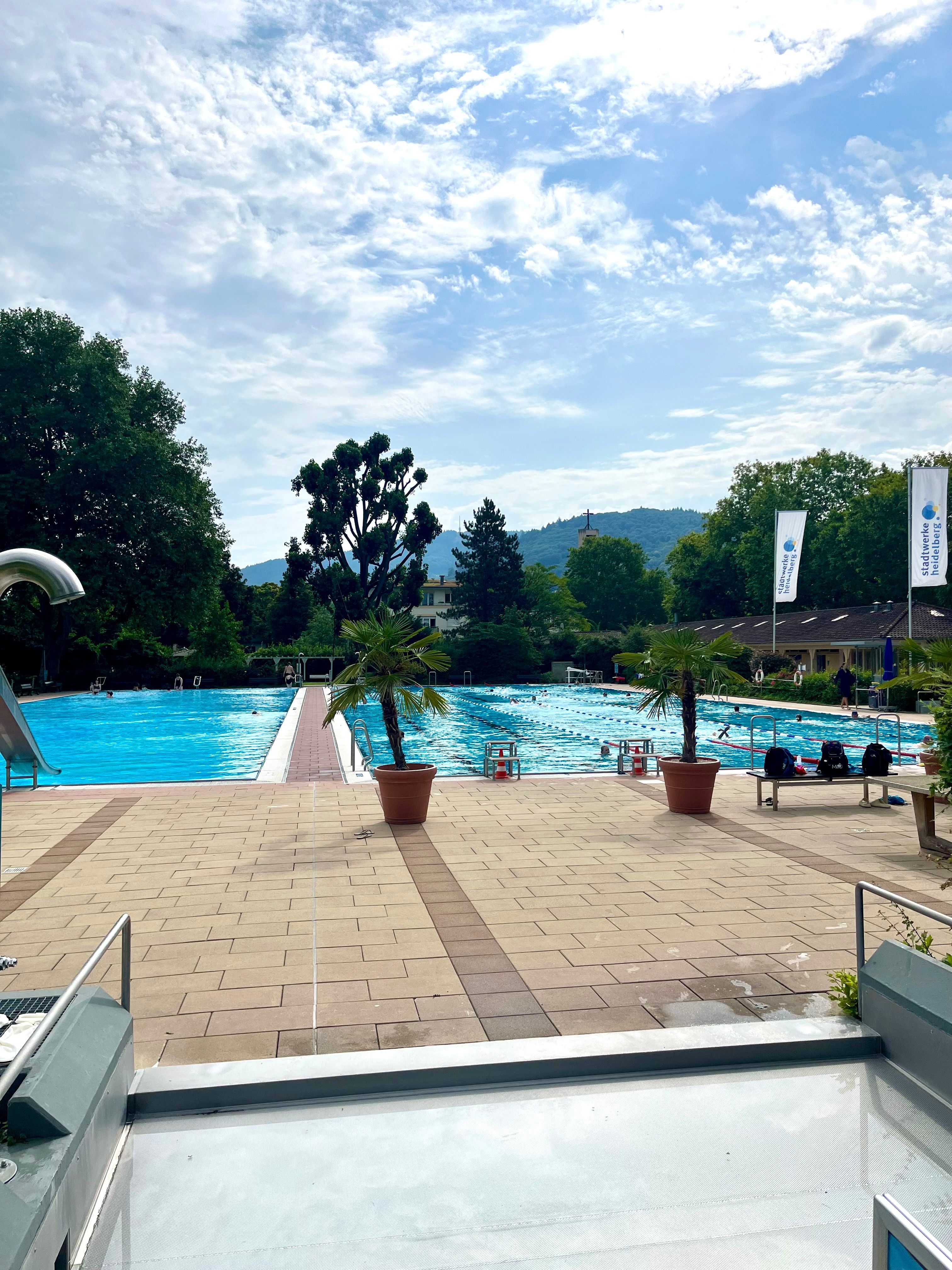 New Studio In Popular Area (Heidelberg)  -  New studio in popular area (Heidelberg)  - Gallery -  5