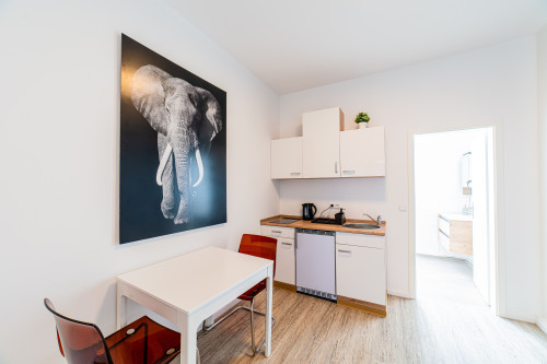 Nice and spacious suite (Nürnberg)