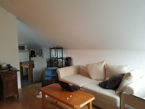 Spacious and lovely apartment