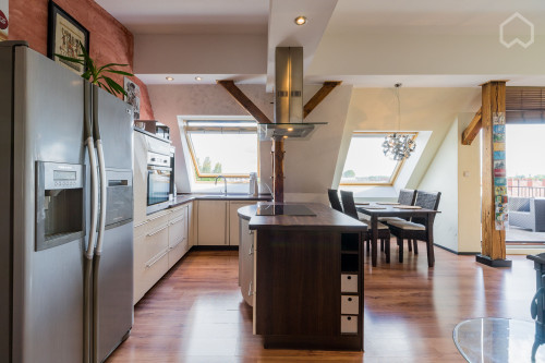 Penthouse apartment with style and a nice view