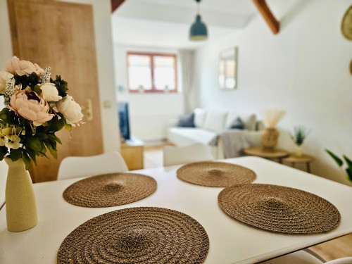 Cozy boho studio in a good location