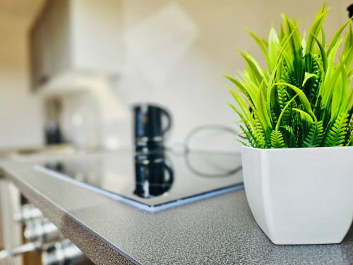 Cozy boho studio in a good location