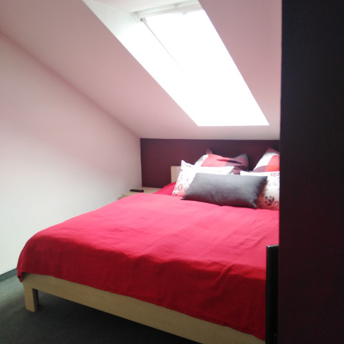 Neat, quiet flat in Regensburg