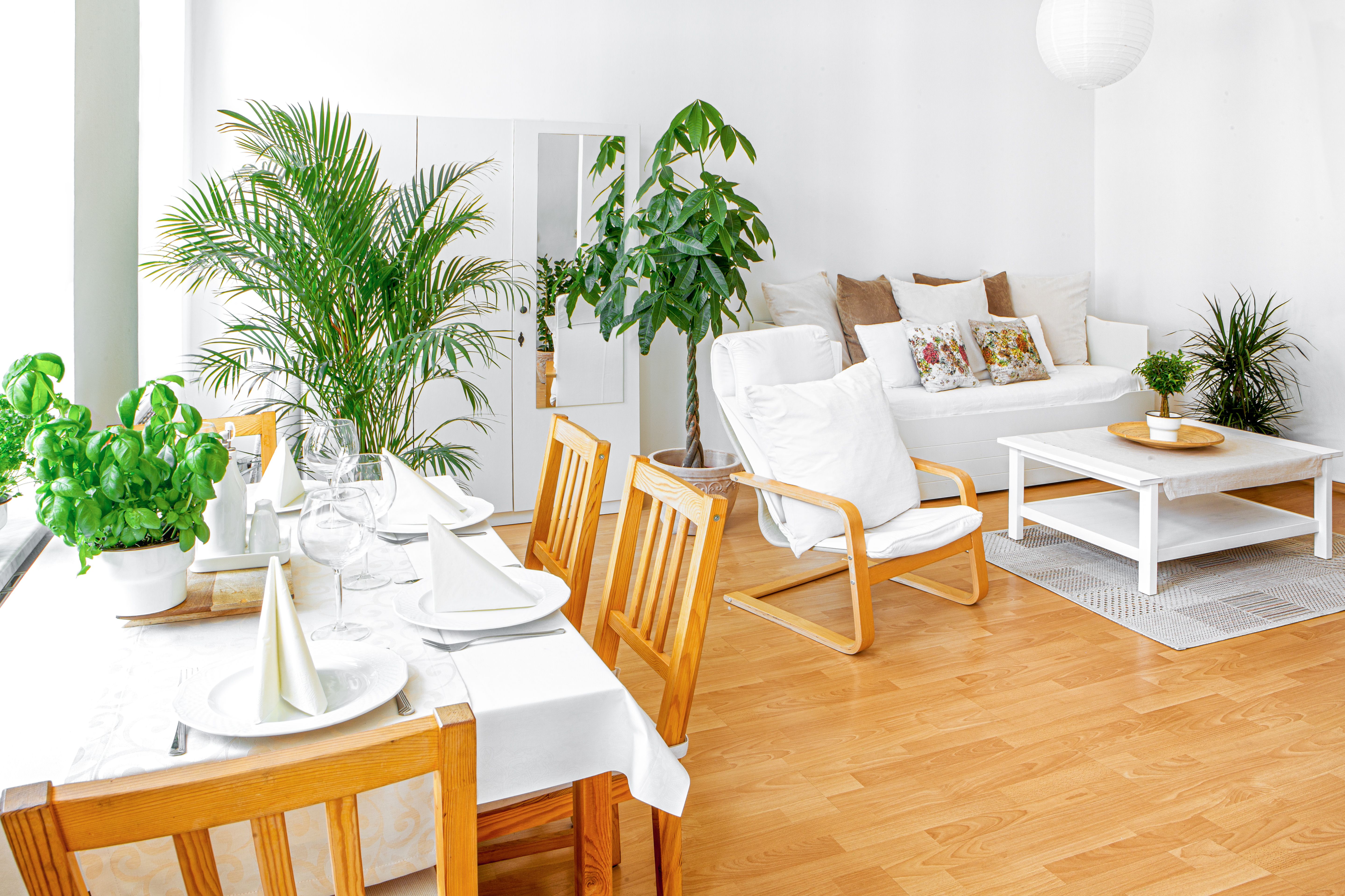  DELUX 2 Room Apt. TOP LOCATION Easy CheckIn+Netflix  -  DELUX 2 room apt. TOP LOCATION easy CheckIn+Netflix  - Gallery -  13