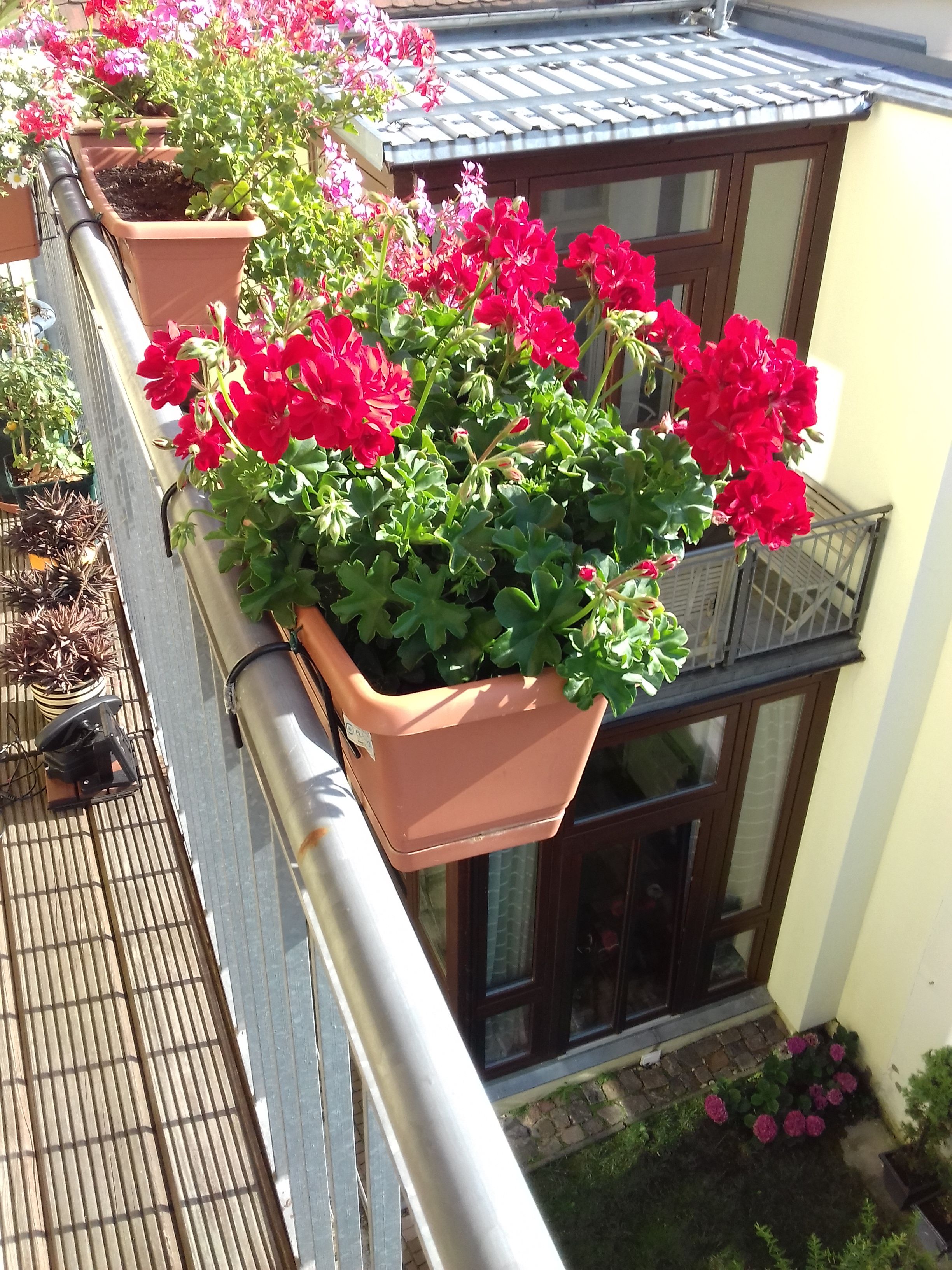 Super Apartment In City Center - Super Apartment in City Center - Gallery - 8