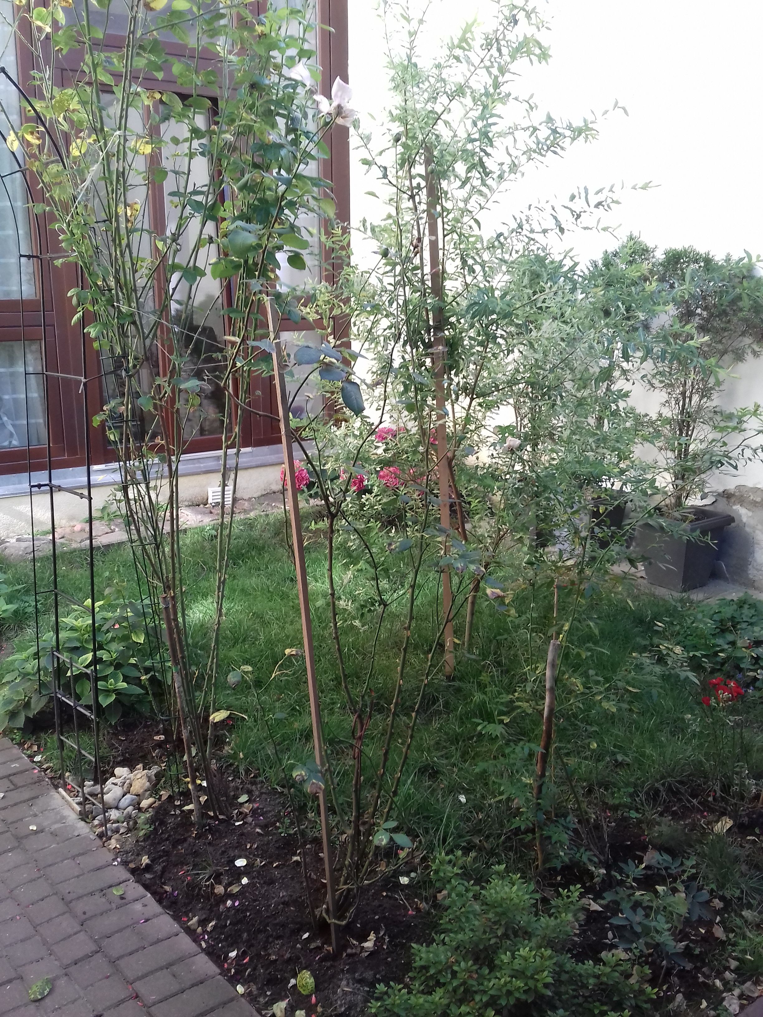 Super Apartment In City Center - Super Apartment in City Center - Gallery - 9