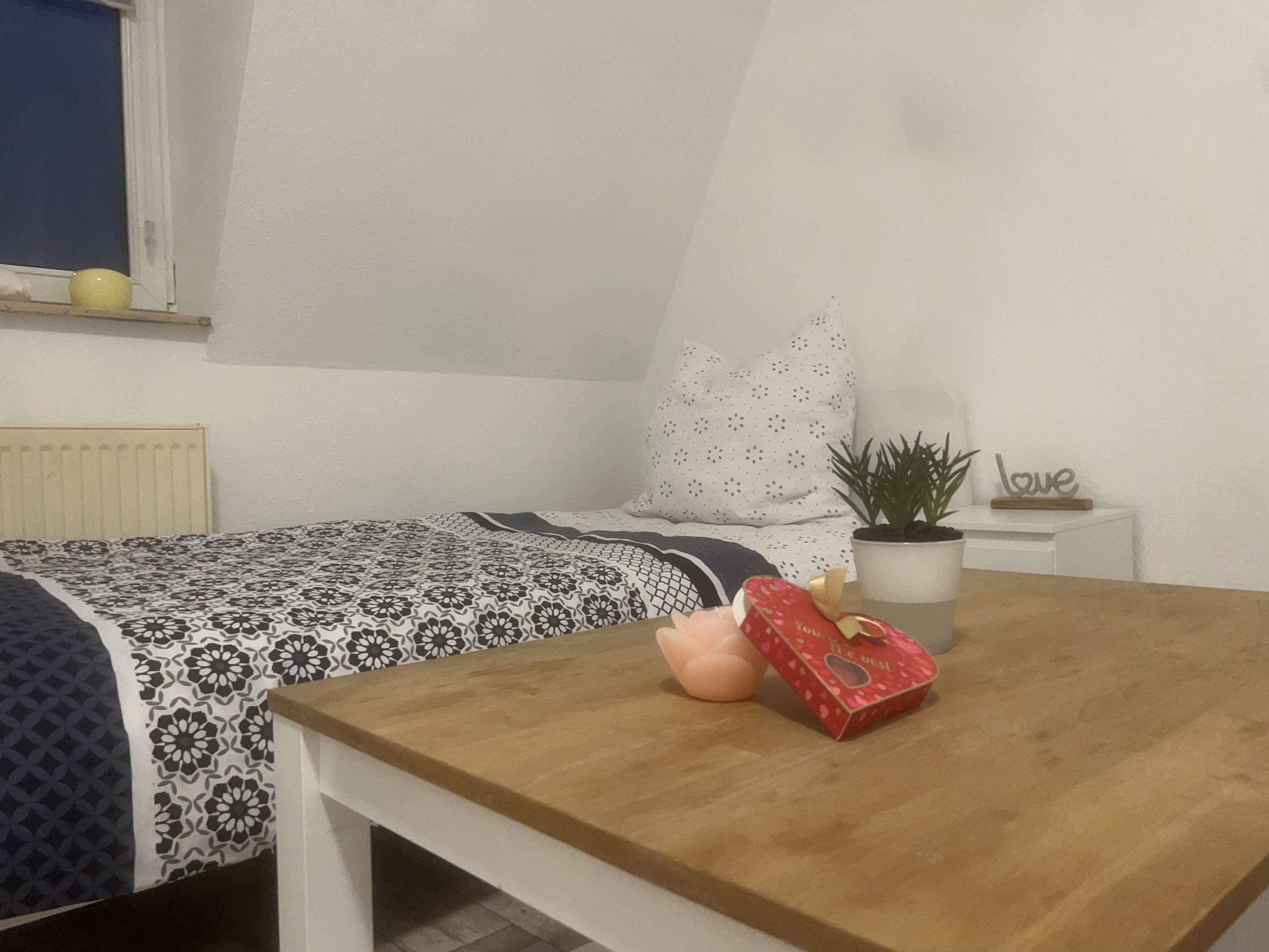 Fantastic & Gorgeous Flat In Halle (Saale) - 3