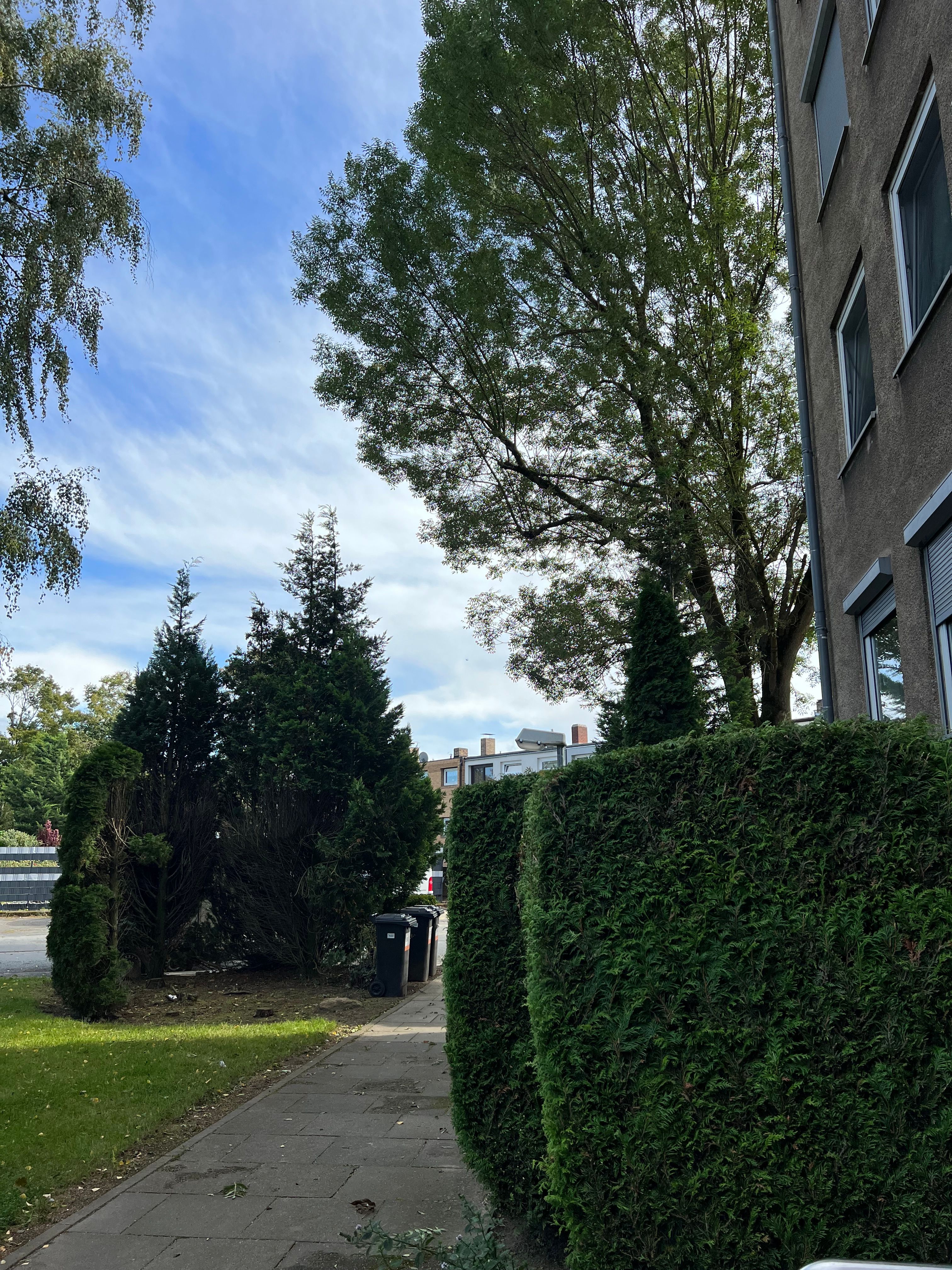  Newly Furnished Apartment, 3 Rooms – 70 Sqm, Salzgitter  -  Newly furnished apartment, 3 rooms – 70 sqm, Salzgitter  - Gallery -  5