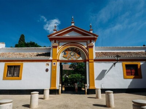 Room in the center of Seville - Gallery - 5