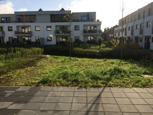 Short Let - furnished apartment in Düsseldorf / Neuss - Gallery - 18