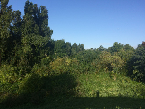 Short Let - furnished apartment in Düsseldorf / Neuss