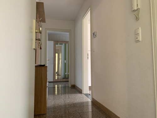 Charming Family Apartment in Mainz-Kastel/Wiesbaden with AC, Balcony, Parking, Rhine View