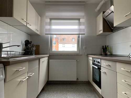 Charming Family Apartment in Mainz-Kastel/Wiesbaden with AC, Balcony, Parking, Rhine View - Gallery - 10