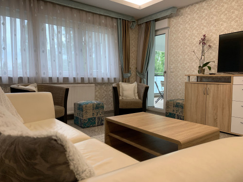 Charming Family Apartment in Mainz-Kastel/Wiesbaden with AC, Balcony, Parking, Rhine View - Gallery - 22