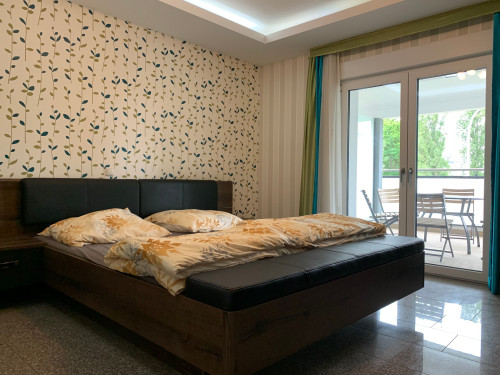 Charming Family Apartment in Mainz-Kastel/Wiesbaden with AC, Balcony, Parking, Rhine View - Gallery - 20