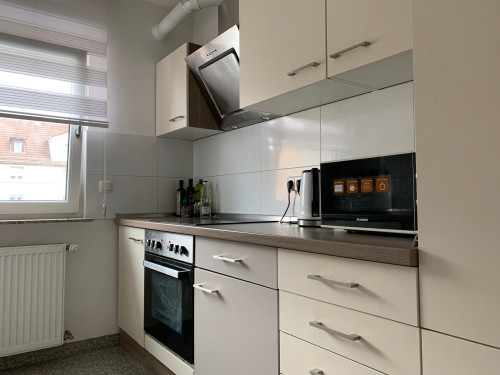 Charming Family Apartment in Mainz-Kastel/Wiesbaden with AC, Balcony, Parking, Rhine View - Gallery - 9