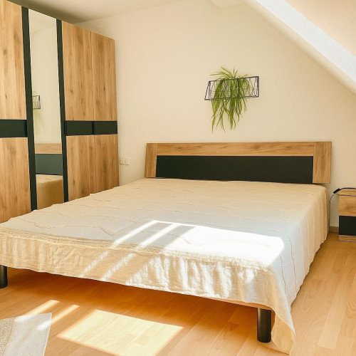 Charmante 2,5-Zimmer-Wohnung in Speyer Innenstadt – Stilvoll möbliert mit eigenem Eingang*