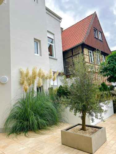 Pure Living 9 - Gallery - 13