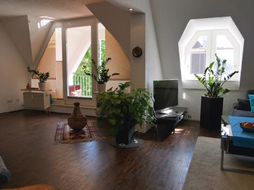 Cozy, great loft apartment / Karlsruhe