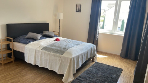 Wonderful & neat studio in Rutesheim