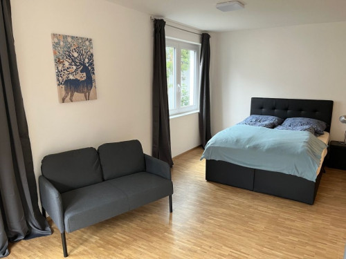 Wonderful & neat studio in Rutesheim