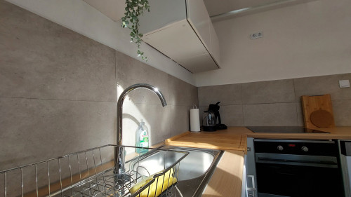 One of the most beautiful furnished apartment in Nuremberg! Premium located apartment between citypark and Oldtown!