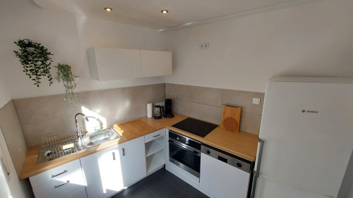 One of the most beautiful furnished apartment in Nuremberg! Premium located apartment between citypark and Oldtown!