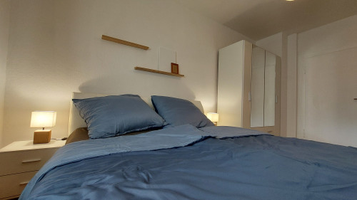 One of the most beautiful furnished apartment in Nuremberg! Premium located apartment between citypark and Oldtown!