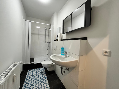 möblierte und vollausgestattete Wohnung (ideal für Monteure)