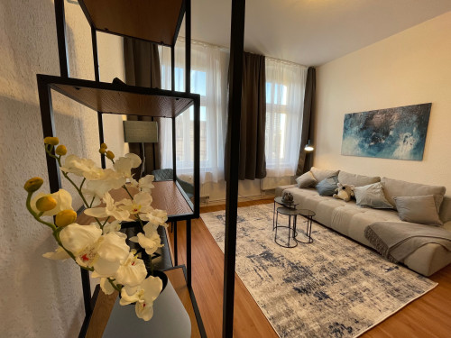 Spacious suite located in Magdeburg | central | bright | fully equipped - Gallery - 29