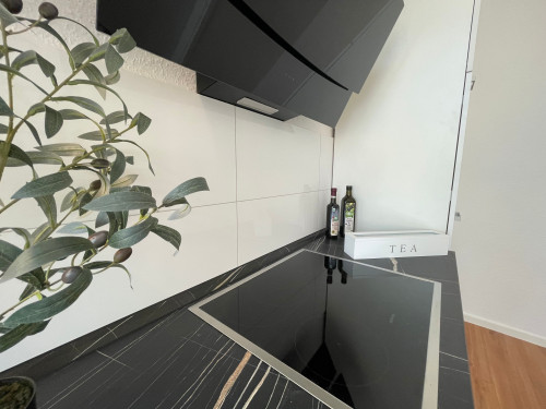 Spacious suite located in Magdeburg | central | bright | fully equipped - Gallery - 13