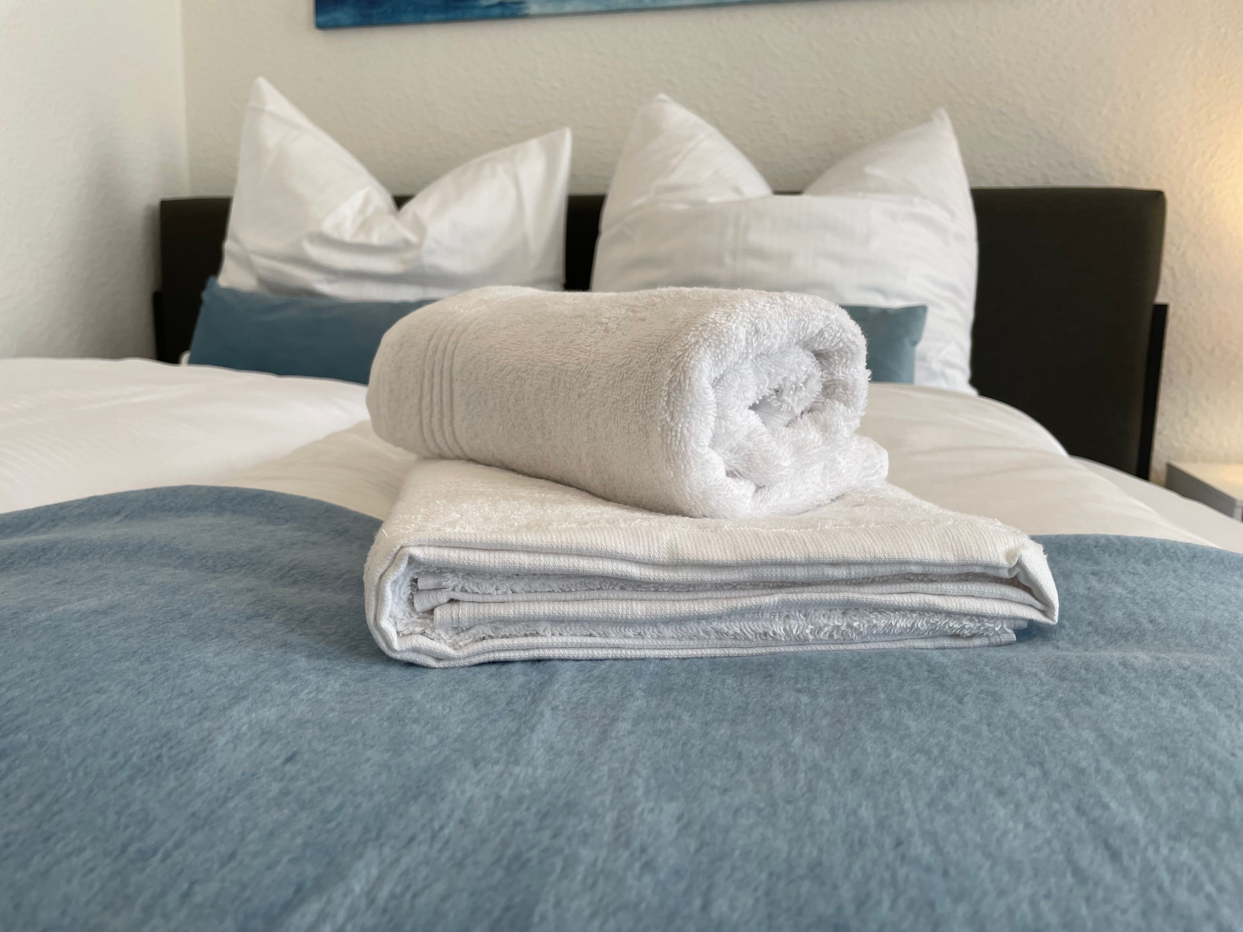 Spacious Suite Located In Magdeburg | Central | Bright | Fully Equipped - 11